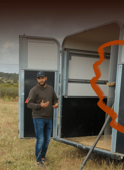 Curso de transportes para caballos