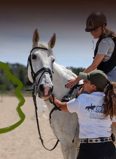 El día a día de un caballo de escuela en caballosdecerca.com