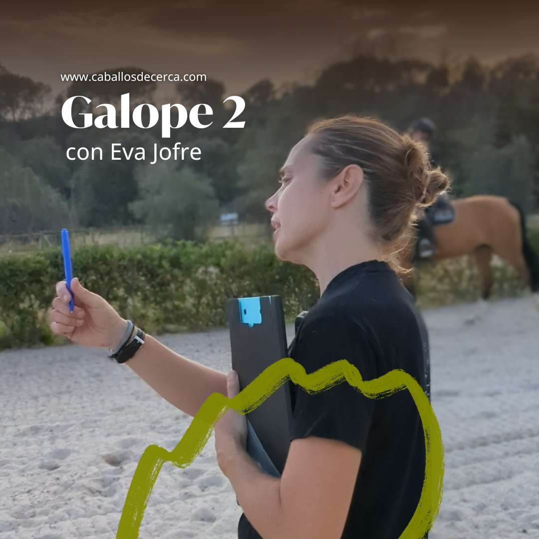 Curso de Galope 2