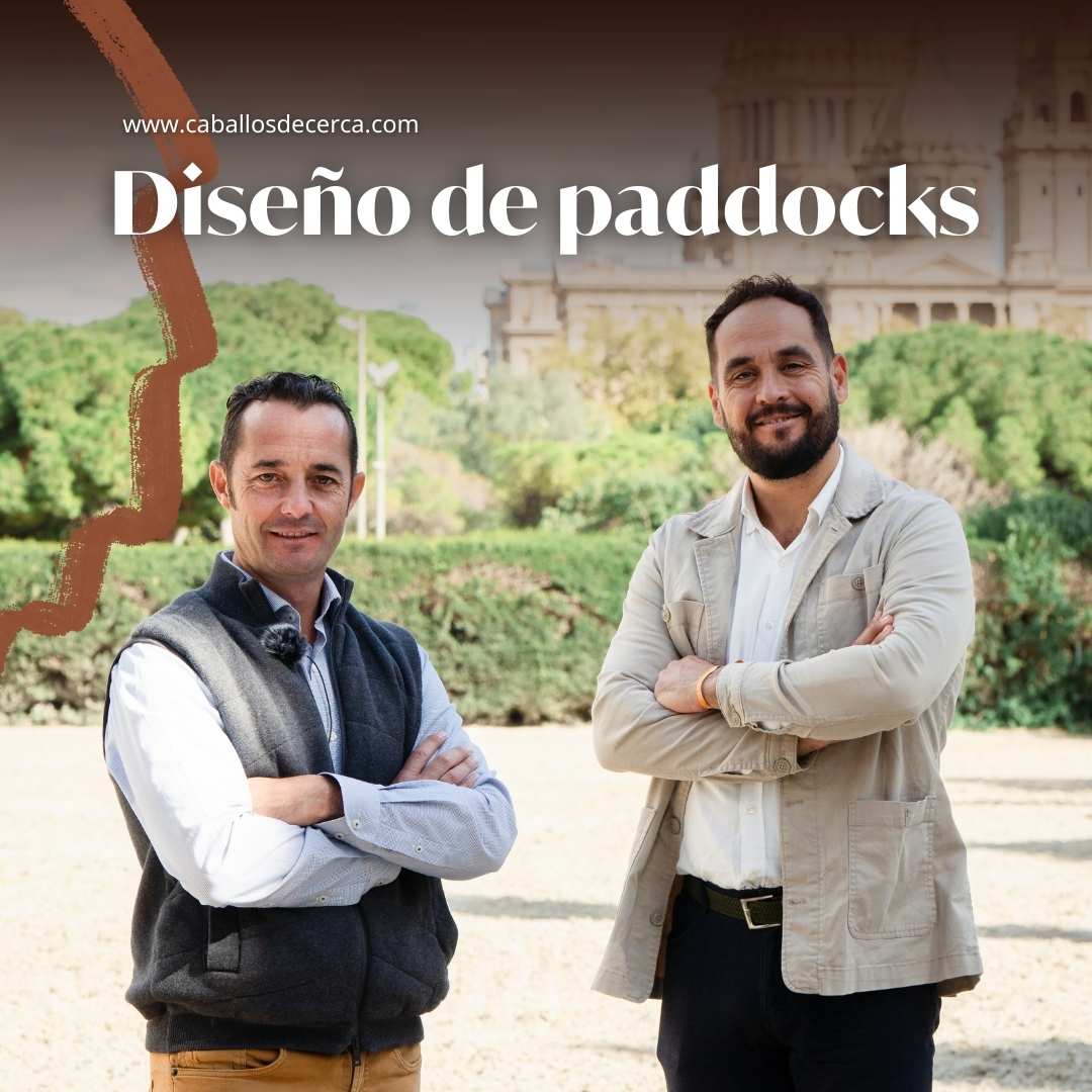 Qué tener en cuenta para diseñar un paddock para Caballos