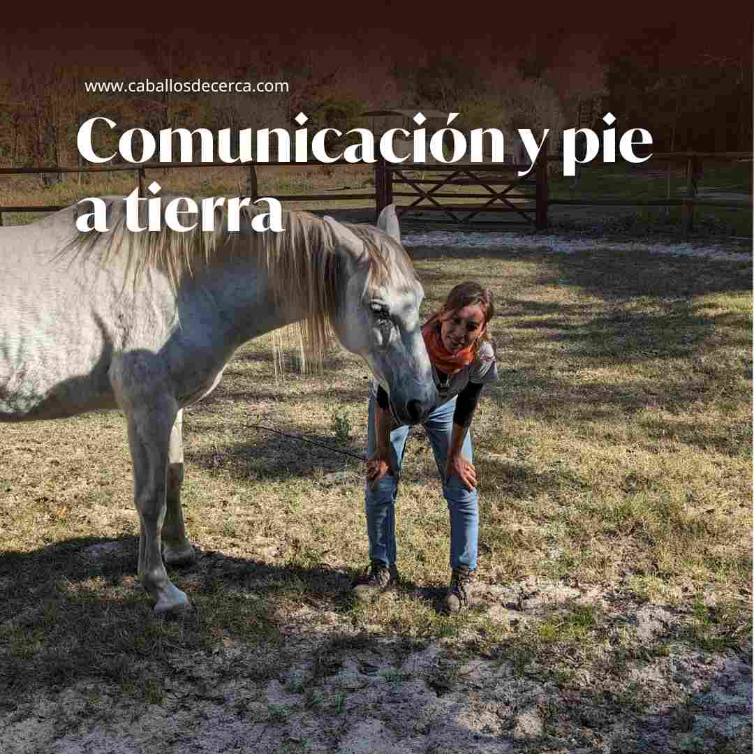 Comunicación y pie a tierra con caballos - Introducción