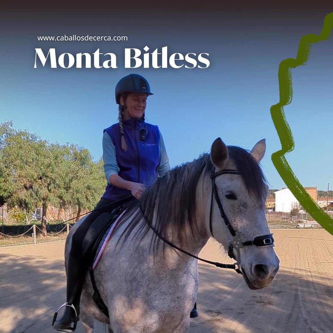 Curso de monta bitless en caballosdecerca.com