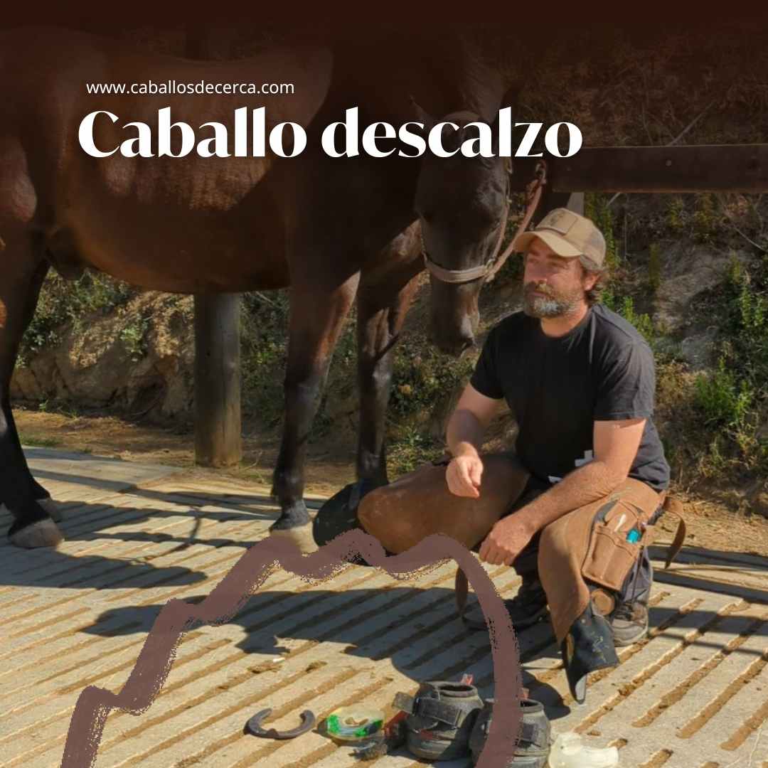 Curso Tu caballo puede ir descalzo, sin herraduras por Marc Sanchez en caballosdecerca.com