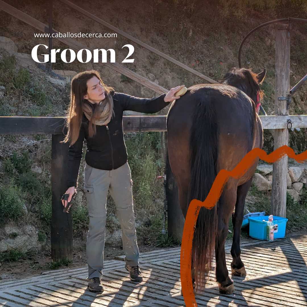 Curso de Cuidados Avanzados del Caballo - Groom | Caballosdecerca.com