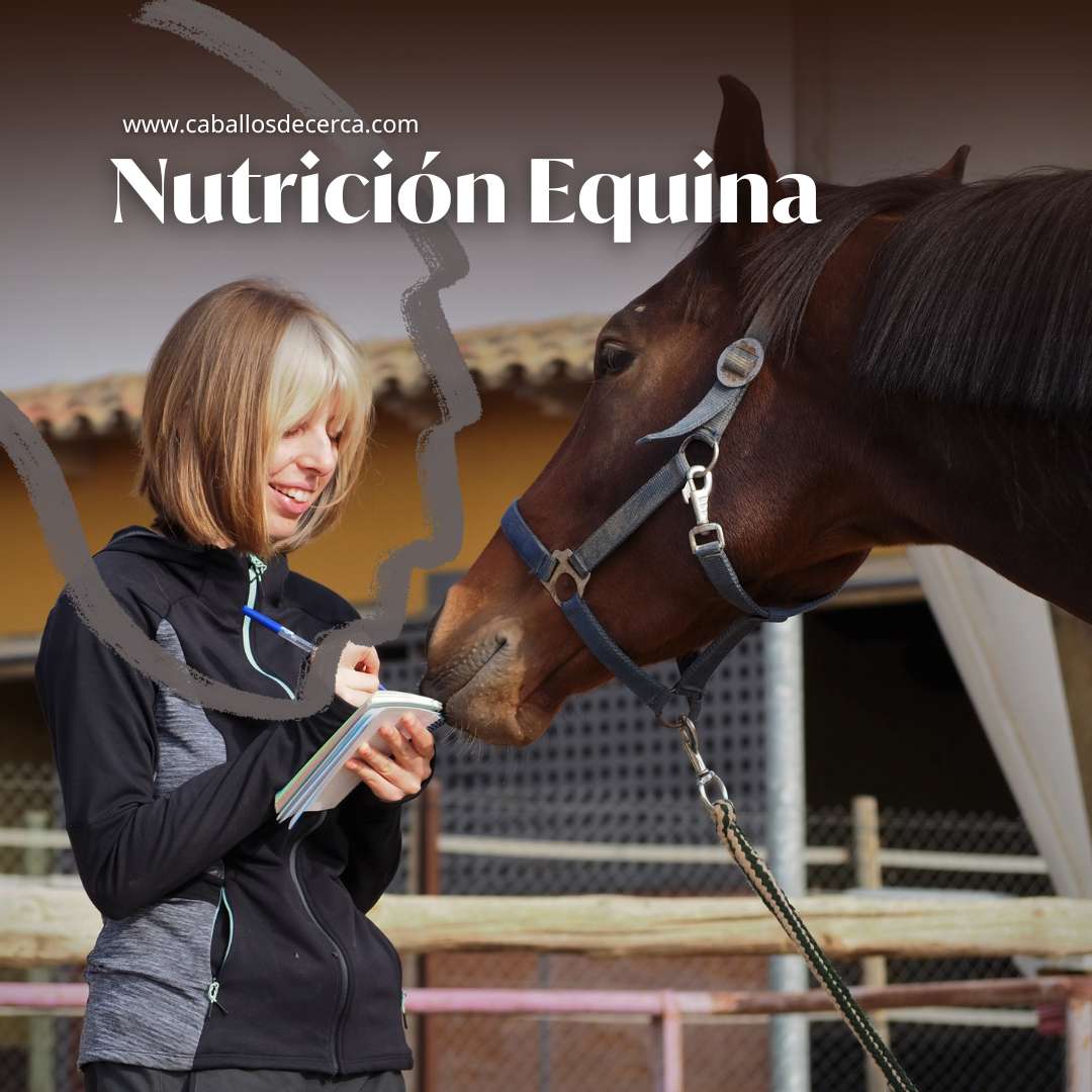 Bases de la nutrición equina con Sofia Espert en caballosdecerca.com