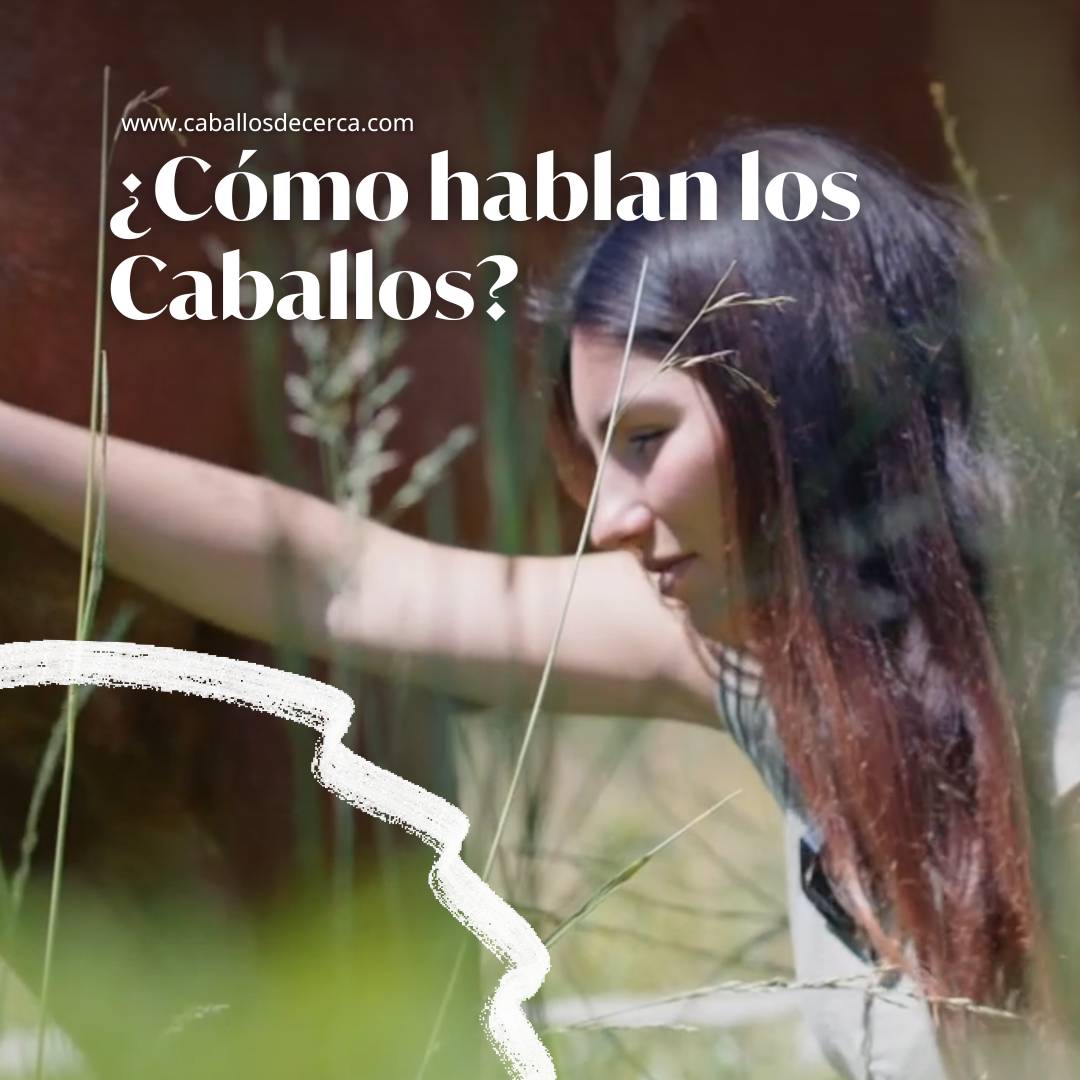 ¿Cómo hablan los caballos?