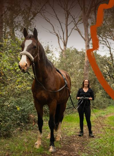 Curso Cómo iniciar al caballo pie a tierra con riendas largas en caballosdecerca.com