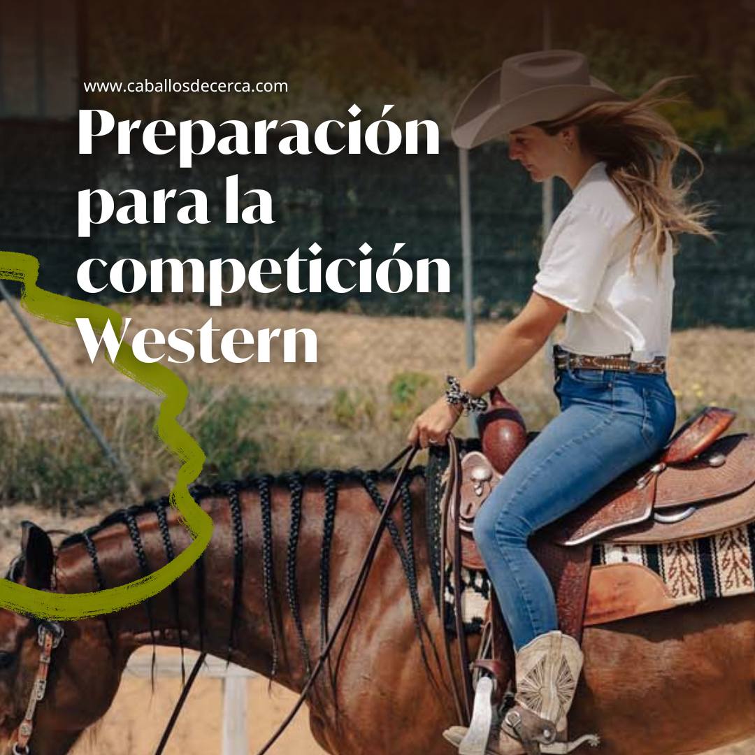 Curso de preparación del caballo para la competición Western en Caballosdecerca.com
