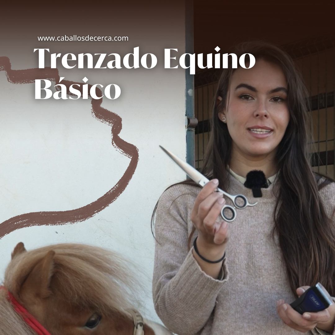Curso de Trenzado Equino básico por Miriam Luque