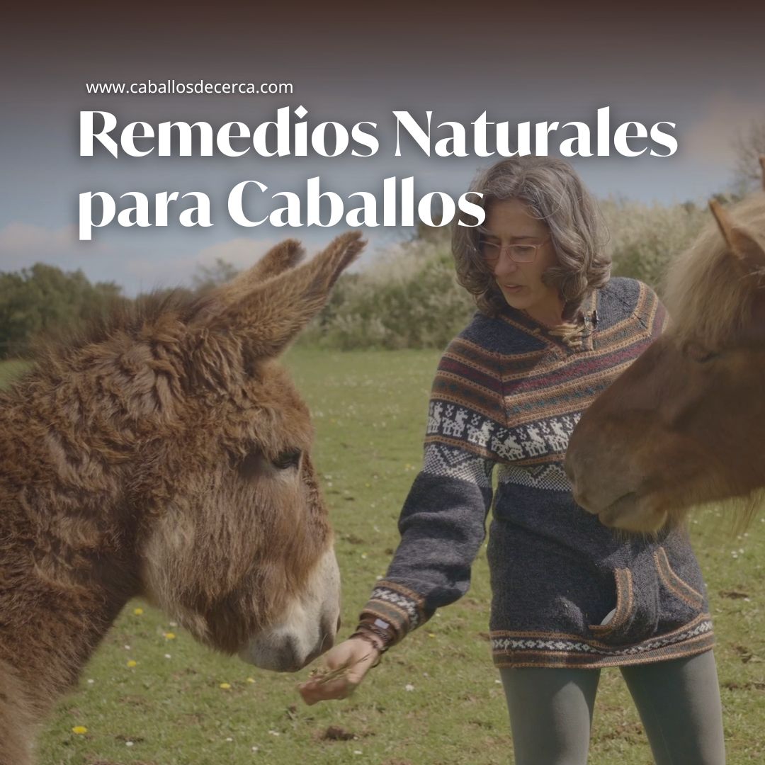 Curso de Remedios Naturales para Caballos