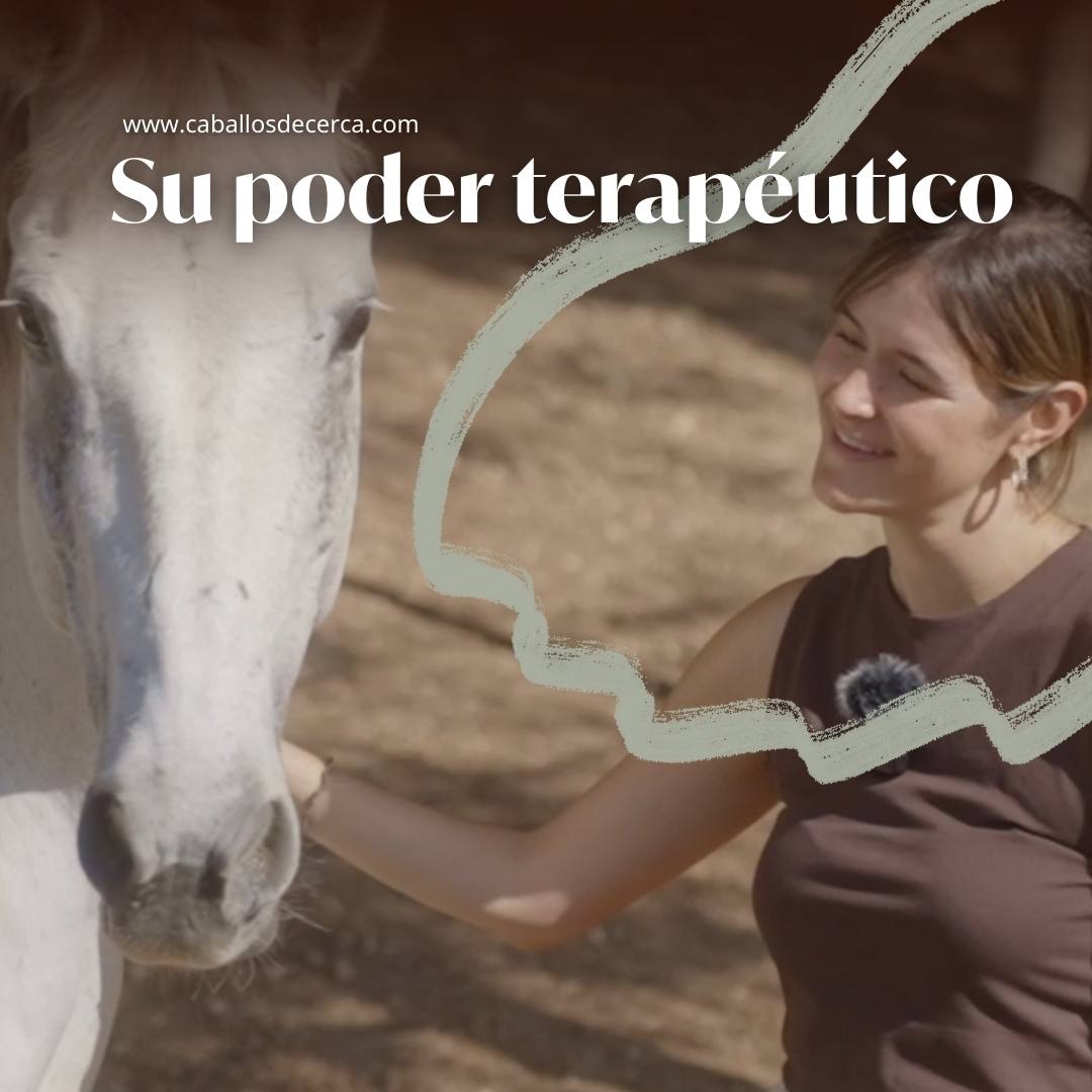 El poder terapéutico de los caballos