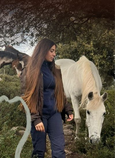 Cuidados de un caballo geriátrico