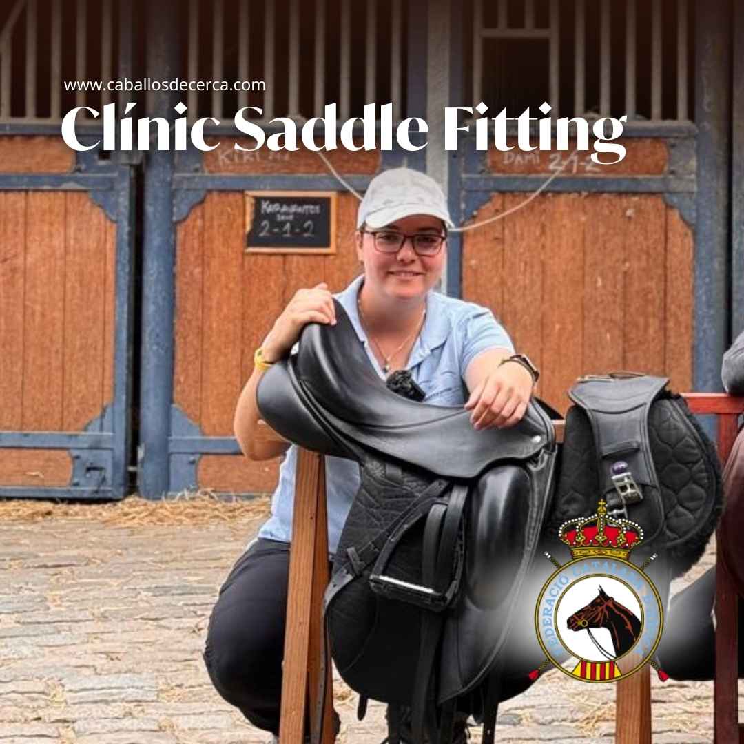 Saddle Fitting Federeacion Catalana de Hípica