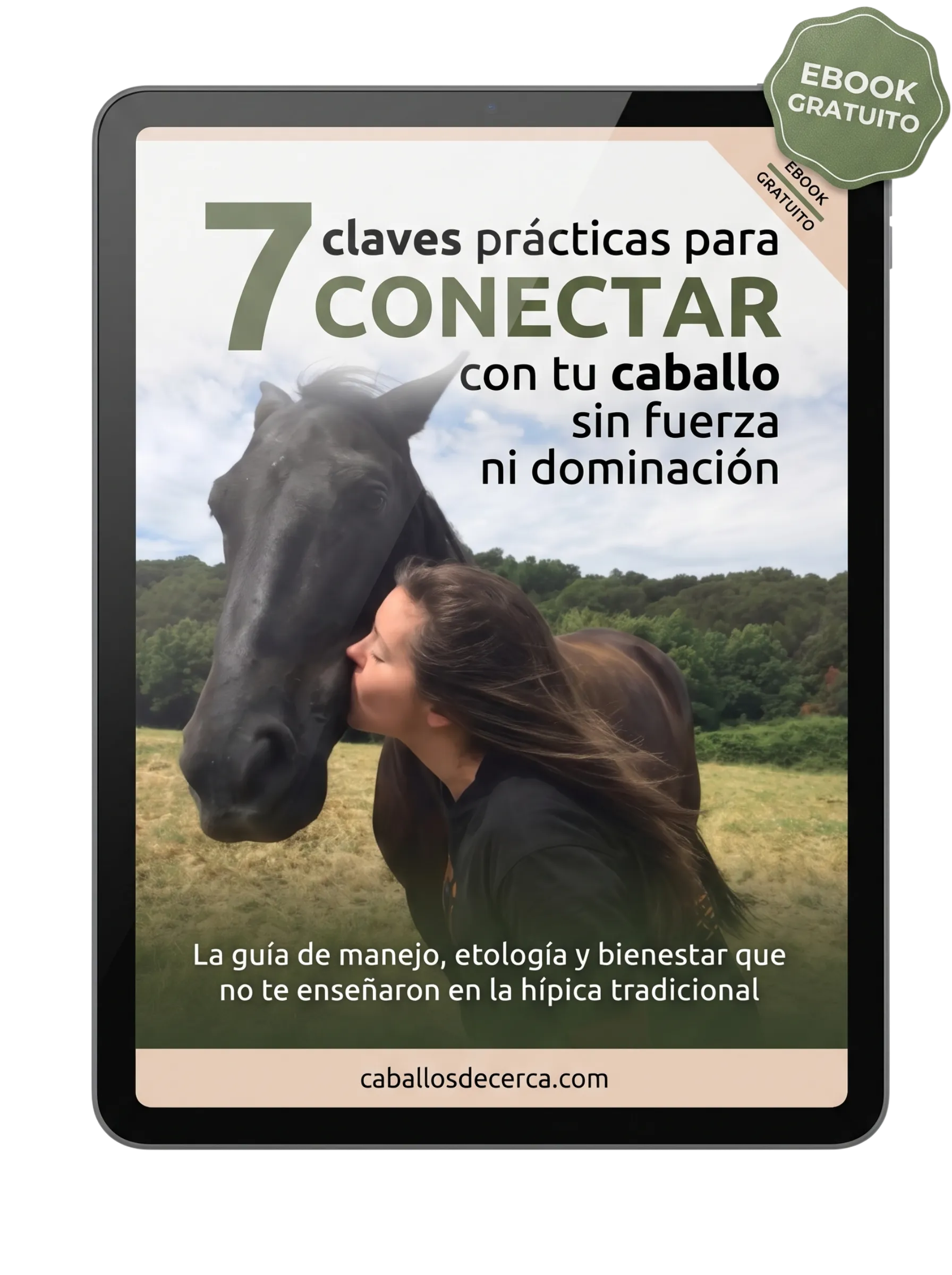 ebook webpt
